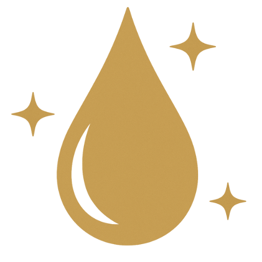 Logo Clean Rush Miami